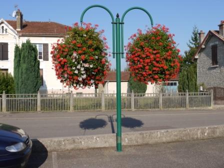 Hanging baskets