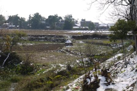 Snow fields - web